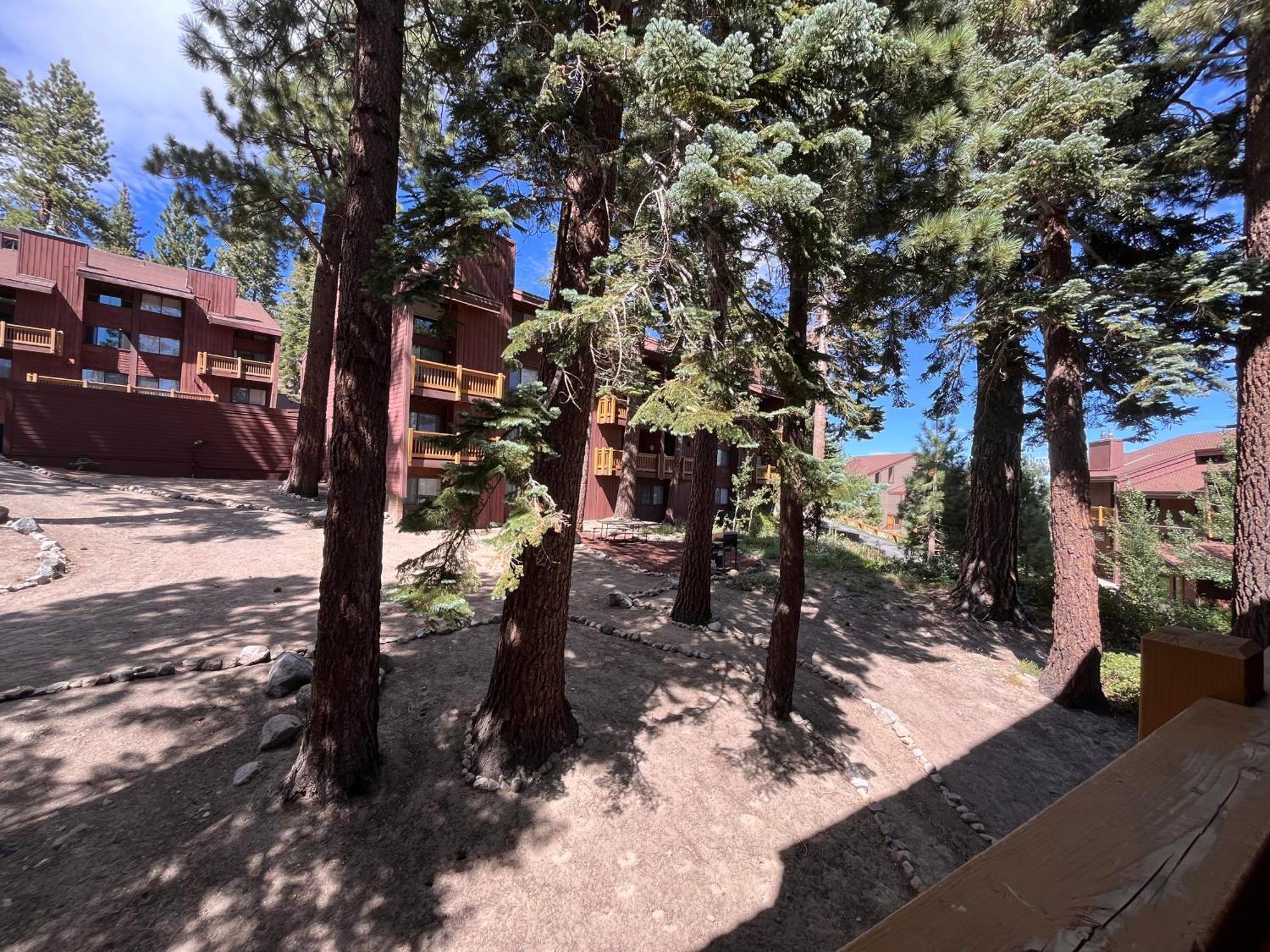 Tastefully Remodeled Condo At Mammoth Ski & Racquet Club, Hot Tub, Garage, 10 Min Walk To Ski Lifts 马姆莫斯湖 外观 照片